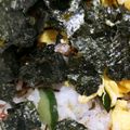 くむちん's cooksnap of when they made 安上がり！休日ランチは節約ちらし寿司.