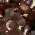 ふぁんころ's cooksnap of when they made めちゃくちゃ簡単！茹で栗.