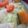 あゆたっくん's cooksnap of when they made 野菜たっぷり☆ほっこり生姜ミルクスープ.