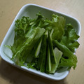 ラリー＆サラ's cooksnap of when they made きゅうりを三角に切る.