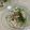 papikun's cooksnap of when they made 釜揚げしらすのぶっかけうどん.