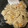 youriman's cooksnap of when they made これしか勝たん！キノコの炊き込みご飯.