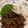 クックZ8GZAA☆'s cooksnap of when they made 茄子と豚ミンチのナンプラー風味炒め丼.
