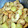 ☆shomaxile's cooksnap of when they made ぷりぷり　ほたてのこっこ（煮物）.