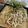 マールマル's cooksnap of when they made 手打ち蕎麦.