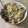 料理上達中's cooksnap of when they made 豚ひき肉で豚そぼろ！親子丼風に！.