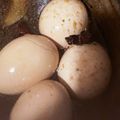 ふぁんころ's cooksnap of when they made 茶葉蛋（チャーイェダン：中華風煮卵）.