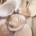 ふぁんころ's cooksnap of when they made フライパンで★焼きはまぐり.