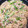 こうちゃん19's cooksnap of when they made 簡単！旨い！豚ひき肉しらたきチャプチェ風.