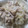 もりのりころ's cooksnap of when they made 細切れ消費！豚の細切れの生姜焼き.
