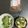 タムカナ's cooksnap of when they made 豆腐とほうれん草の味噌汁.