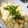 °＊maico＊°'s cooksnap of when they made レンジで超簡単☆５分で気持ちは麻婆豆腐☆.