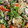 クック7M7OTG☆'s cooksnap of when they made 豚こまとしらたきのオイマヨ炒め.
