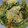 msy0730's cooksnap of when they made うまい♪辛い?ししとうの甘辛煮☆.