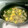 gospelyuka's cooksnap of when they made 空芯菜の豚肉と卵炒め.