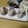よちりん's cooksnap of when they made 梅干し・しらす・ごま・塩昆布のおにぎり♬.