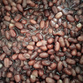 まつたけうめ子's cooksnap of when they made 本格 和菓子屋風 あんこの作り方.