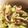 クック990A7C☆'s cooksnap of when they made サラダの材料で炒めもの.