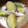mariko0609's cooksnap of when they made ほっこり甘い！さつま芋と玉ねぎのみそ汁.