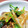 ゆしゅな's cooksnap of when they made こんにゃくとちくわとメンマの炒り煮✨.