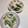 珠生ママ☆'s cooksnap of when they made 小松菜とツナのマヨ和え.