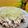 ルパンのかあさん☆彡's cooksnap of when they made 豚ロース薄切り玉ねぎさっぱりサラダ.