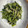 maezuchu's cooksnap of when they made 我が家のほうれん草の胡麻和え.