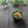 まろんかふぇ's cooksnap of when they made みんな大好き大根の皮のきんぴら.