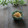 まろんかふぇ's cooksnap of when they made みんな大好き大根の皮のきんぴら.