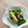 かしゅかしゅん's cooksnap of when they made 箸休めになれない、きゅうりの梅和え.