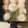 クック4TMZSX☆'s cooksnap of when they made おいしい♪エビマヨ♪ぷりっぷり♪.