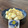 みんてあ's cooksnap of when they made もちもちしっとり月見団子.