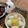 べりまま's cooksnap of when they made お月見 白玉団子.