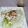 まこさんど's cooksnap of when they made 和風ドレッシング.