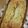 苺たると☆'s cooksnap of when they made 簡単☆バナナのパウンドケーキ.