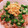 himhima72's cooksnap of when they made 鰻とオクラのちらし寿司弁当.