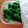 MINARIN5's cooksnap of when they made 長持ち！！スイートバジルの保存方法！.