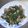 mi_co22's cooksnap of when they made ほうれん草と舞茸の中華炒め♪.