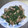 mi_co22's cooksnap of when they made ほうれん草と舞茸の中華炒め♪.