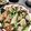 けんけんち's cooksnap of when they made 絶品とろっナス。ご飯ススム豚巻き茄子.