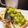 ☆GSSQHY☆'s cooksnap of when they made 塩鯖ガーリックソテー♡キウイソースがけ.