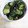 うぐいす♪'s cooksnap of when they made あと一品　簡単！蛇腹きゅうりの浅漬け.