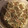 さやっ's cooksnap of when they made うまい♡うまい♡うまい♡しうまい.