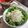 こつゆ514's cooksnap of when they made シーサイドカフェ風　しらす丼.