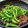 ｸﾏﾘｴ's cooksnap of when they made 甘長とうがらしと牛肉の甘辛炒め☆.