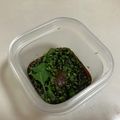 papikun's cooksnap of when they made 簡単♪穂紫蘇の醤油漬け。しその実.