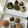 Ruriluru's cooksnap of when they made まりもみたいな　青さのりのおにぎり.
