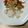 くみことムック's cooksnap of when they made たらの山椒焼き【入院食㉘昼/主菜】.