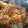 クック60AK5W☆'s cooksnap of when they made 簡単！かぼちゃのそぼろ煮.