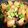 y。mina's cooksnap of when they made 味噌マスタード炒め(簡単).